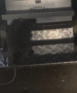 Grandpa's Feeders Automatic Chicken Feeder - Sturdy Galvanized Steel Poultry Feeders - No Spill with Weatherproof Lid - Standard Size for 6-12 Chickens 10 Days (20lb Feed) Silver 14 lb 40 7167DIKh3WL