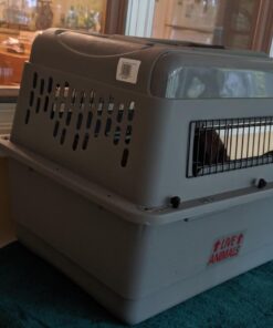 Petmate Sky Kennel Pet Carrier, 28 Inch, Made in USA 24.3"L x 18.3"W x 19.5"H 52 7169JL24CNL