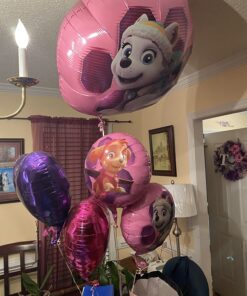 Paw Patrol Girls Pup Skye and Everest Foil Balloons Birthday Party Supplies (5 Piece Bouquet) 20 7169JrKnPQL