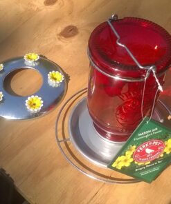 Perky-Pet 786-1SR Mason Jar Vintage Glass Hummingbird Feeder - Outdoor Garden Décor - 32-oz Red Mason Jar 32 716B6vLZtkL