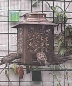 Stokes Select Bird Feeder, Metal Hopper Bird Feeder, 4 Feeding Ports, 3.6 lb Bird Seed Capacity, Copper Finish 38 716BFM6QEL