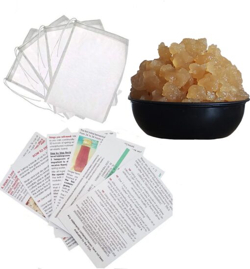 1 Cup Original Water Kefir Grains Exclusively from Florida Sun Kefir with 4 Brewing Bags