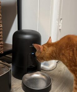 PETLIBRO Automatic Cat Feeder, Automatic Cat Food Dispenser Battery-Operated with 180-Day Battery Life, AIR Pet Feeder for Cat & Dog, Timed Cat Feeder Program 1-6 Meals Control, 2L Auto Cat Feeder Black Basic 31 716DB9WUHGL