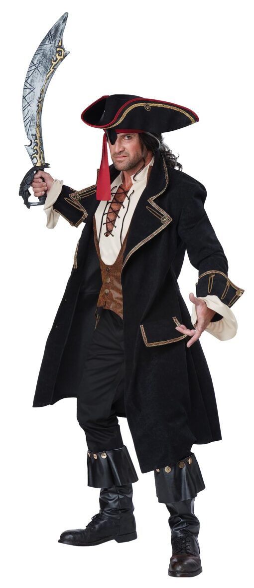 California Costumes Men Deluxe Pirate Captain Medium Black, Brown