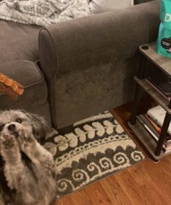 DOGSWELL Dog Dental Care Treats Made in USA Only, Grain Free Chicken Jerky Dog Treats, 24oz Bag 1.5 Pound (Pack of 1) 34 716FodboGZL