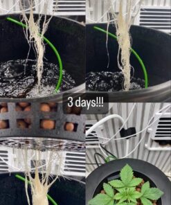 General Hydroponics RapidStart, Plant Food, 1-0.5-1, 275 mL. 28 716Gz7aHX6L