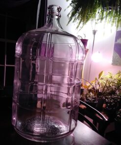 FastRack 5 Gallon Glass Carboy Clear 7 716HmD20dL