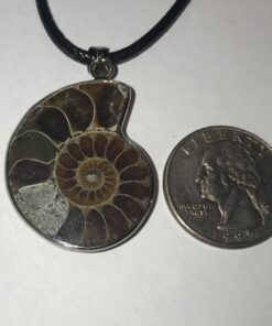 JOYA GIFT Charm Handmade Natural Conch Fossil Ammonite By Silver Wrapped Pendant Necklace (1 PCE). 51 716KMjWoBuL