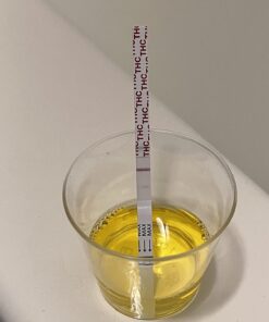 Detoxify – PreCleanse Herbal Supplement – 6 Capsules – Professionally Formulated – Perfect Start to Your Cleansing Program 26 716LM9jpSDL