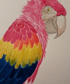 Dr. Ph. Martin's Bombay India Ink (Set 2) Ink Set, 1.0 oz, Set 2 Colors, 1 Set of 12 Bottles. 36 716M2 1QyL