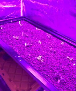 KingLED Newest 3000w LED Grow Lights with LM301B LEDs 4 * 2ft Coverage Full Spectrum Grow Lights for Indoor Hydroponic Plants Veg Bloom Greenhouse Growing Lamps 45 716M9t1CEQL