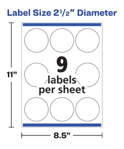 Avery Printable Waterproof Round Labels with Sure Feed, 2.5" Diameter, White, 72 Customizable Labels (22856) 35 716QfS92ivL