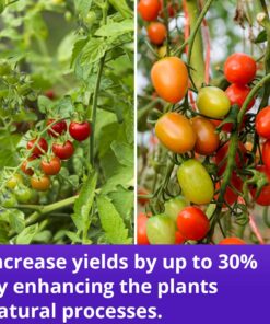 Humboldts Secret Flower Stacker – Best Flowering Formula for Bigger Harvests - Flowering Plant Food – Nutrient System for Potting Soil for Indoor & Outdoor Plants – 1 Gallon 128 Ounce 12 716RkkE5zkL 1