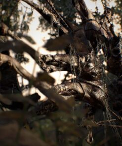 Resident Evil 7 Biohazard - Xbox One Standard 16 716SMtDYNrL