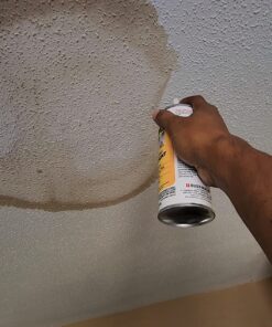 Zinnser 03688 Covers Up Stain Sealing Ceiling Paint, White 13 Ounce (Pack of 1) Spray Can 56 716TiigMeEL