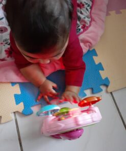 VTech Lil' Critters Spin and Discover Ferris Wheels, Pink (Amazon Exclusive) 45 716U8o7d5ZL