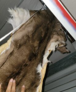 Knoblochs Deer Hunter's & Trapper's Hide & Fur Tanning Formula Multi Pack 1 28 716VbPiOzML