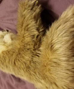 Folkmanis Baby Sloth Hand Puppet Classic 17 716WMYln7HL