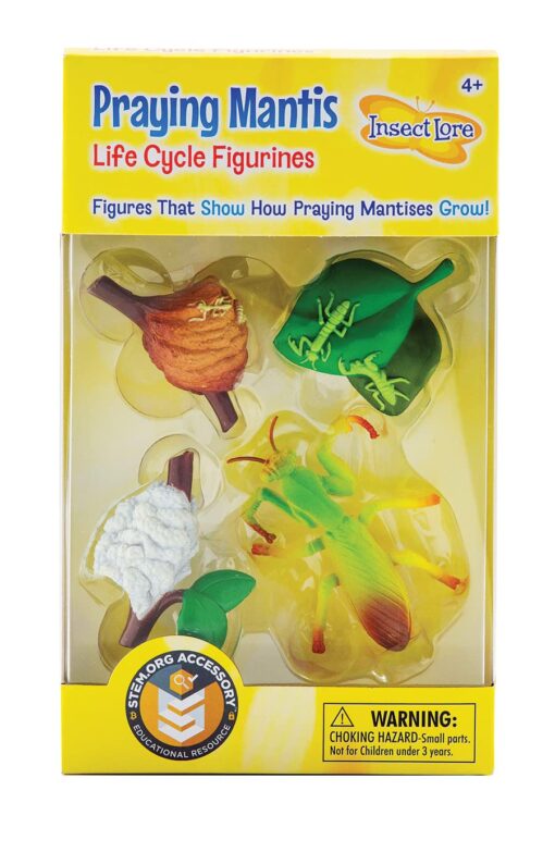 Praying Mantis 4 Piece Life Cycle Figures - 2" Bug Toys by Insect Lore