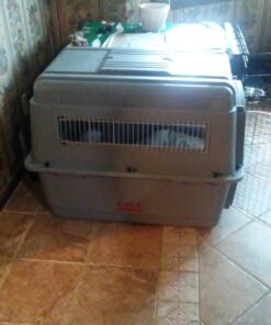 Petmate Sky Kennel Pet Carrier, 36 Inch, Made in USA 36.0"L x 25.0"W x 27.0"H 59 716YvYyRfuL