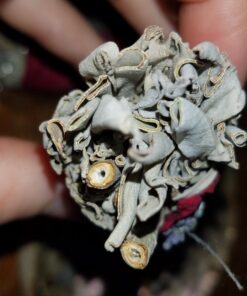 Tomoko White Sage Smudge Kit - 3 White Sage with Rose and Lavender, 2 Palo Santo, Abalone Shell, Wooden Tripod Stand & Feather! Healing, Purifying, Meditating, Incense & Cleansing Super 23 716ZoXhS ZL