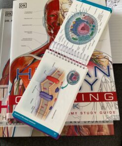 Alternative view of Pocket Anatomy & Physiology Spiral-bound