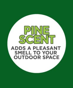 Coleman Pine Scented Citronella Candle with Wooden Crackle Wick - 6 oz Tin Pine Scent 27 716dYRUWmL