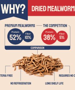 Hatortempt 5lbs Non-GMO Dried Mealworms - Premium Organic Chicken Feed, Nutritious High Protein Meal Worms- Food and Treats for Laying Hens, Wild Birds, Ducks, Reptiles, Fish, Hedgehogs, Turtles 5 Pound (Pack of 1) 26 716eqTHjhSL