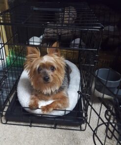 Dog Crates for Small Dogs - Dog Crate 20" Pet Cage Single-Door Best for Puppy & Kitten Pets - Wire Metal Kennel Cages with Tray - in-Door Foldable & Portable for Animal Out-Door Travel 20.0"L x 13.0"W x 16.0"H 35 716gJQLqzPL 2