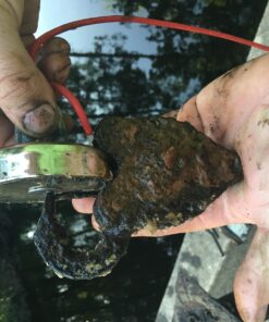 Neodymium Cup Magnet 405 lb Pulling Power Super Powerful, 0.7 x 2.95" Diameter - Magnetic Round Base One Pack, Magnetic Assembly | Fishing Magnet (Cup Magnet 7) Cup Magnet 7 27 716hsDvOSL