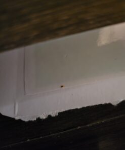 Harris Bed Bug Early Detection Glue Traps (4/Pack) 4 Traps 32 716iGiFuRgL