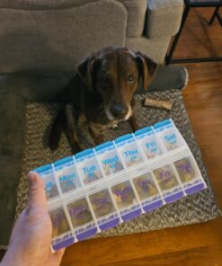 EZY DOSE Push Button (7-Day) Pill Case, Medicine Planner, Vitamin Organizer, 2 Times a Day AM/PM, Large Compartments, Arthritis Friendly, Clear Lids, Purple/Blue Blue and Purple (Clear Lids) 28 716k4buJLoL