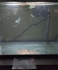 50 Eggs of Triops Longicaudatus (Tadpole Shrimp) Triassic Dinosaur Living Fossil 11 716mIRCAmcL