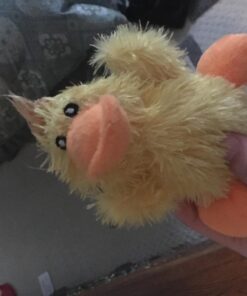 KONG - Plush, Low Stuffing Squeak Duck Dog Toy - Replacement Squeaker Included- For Small Dogs 1 Pack 21 716pRPTWPL