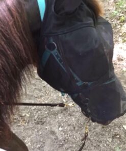 Cashel Quiet Ride Horse Fly Mask with Long Nose and Ears, Black, Horse 19 716sdALDVYL