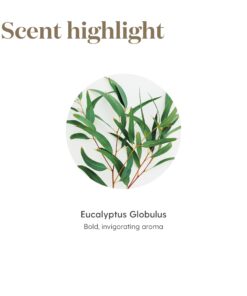 Young Living Eucalyptus Globulus Essential Oil 15ml - Pure & Revitalizing Aromatherapy - Breathe Easy & Refresh Your Senses - Topical & Aromatic - Supports Respiratory Health & Natural Well-Being Journey 0.5 Fl Oz (Pack of 1) 11 716swsdjtBL