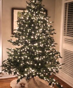 National Tree RBG-25C 25 Clear Bag with Header for 50 Light Sets UL, 2.5 Volts Replacement Christmas Bulbs, Incandescent,White, Count (Pack of 1) 27 716tsuZ2xhL