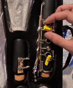 Glory GLY-PBK Professional Ebonite Bb Clarinet with 10 Reeds, Stand, Hard Case, Cleaning Cloth, Cork Grease, Mouthpiece Brush and Pad Brush, Black Black/Silver 32 716up5sRjL