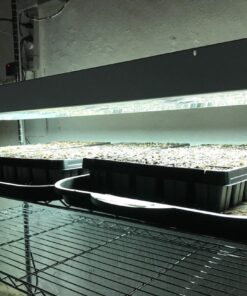 Hydrofarm FLT44 System 4' Fluorescent Grow Light, 1 Count (Pack of 1), White 4 Tubes 4-Feet 27 716yHsanWL