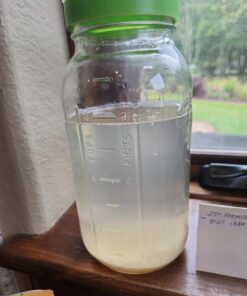 Cultures for Health Water Kefir Grains | DIY Fermented Probiotic Drink Powder for Stronger Gut Health | Heirloom Starter Makes Limitless Supply | Non-GMO Dairy Free Vegan Sparkling Water with Enzymes 0.19 Ounce (Pack of 1) 39 716yPclxaBL