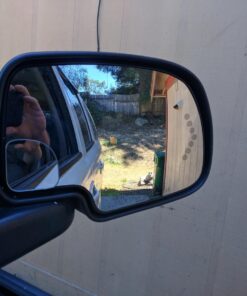 Fan Shape 360 Degree Rotate Sway Adjustabe Blind Spot Mirrors, Ampper HD Glass Convex (Low Curvature) Frameless Stick On Lens (Pack of 2) Pack of 2 34 7171UlWj0QL