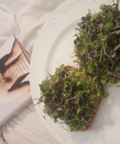 The Girl with the Lower Back Tattoo 7 7171XU8yq8L