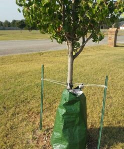 Treegator Original Slow Release Watering Bag for Trees, 1 Bag 28 7174OWYXRAL