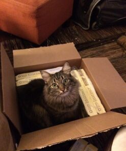 Instinct Limited Ingredient Diet Grain Free Real Turkey Recipe Natural Wet Canned Cat Food by Nature's Variety, 3 oz. Cans (Case of 24) 3 Ounce (Pack of 24) 28 7174aXHiwiL