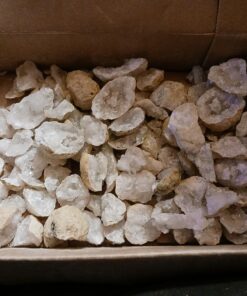 DANCING BEAR 25 Break Your Own Geodes, (Medium 1-1.5") 90% Hollow, Crack Open & Discover Amazing Surprise Crystals Inside! Educational Info and Instructions Included, Fun Party Favors & Prizes Medium (1-1.5") 34 7176VQmRl1L