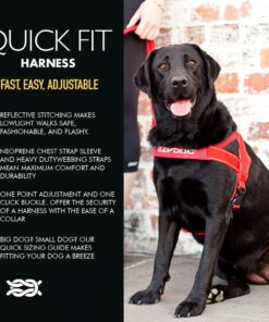 Alternative view of EzyDog Premium Quick Fit Adjustable No-Pull Dog Harness Vest with Reflective Stitching - Perfect for Training, Walking, and Control - Padded for Comfort (Large, Black) Large