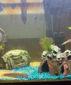 Seachem Stability Fish Tank Stabilizer - For Freshwater and Marine Aquariums, 16.9 Fl Oz (Pack of 1) 33 71797P3Gw6L