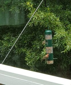 Wagner's 62004 Eastern Regional Wild Bird Food, 20-Pound Bag 29 717BWEWrGFL