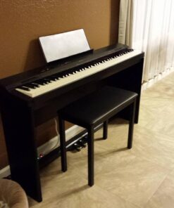 Casio Privia PX-160BK 88-Key Full Size Digital Piano with Power Supply, Black 52 717HELjdouL