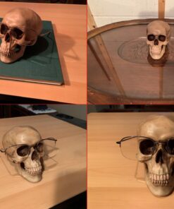 Grinning Highly Realistic Replica Human Skull Statue Home Décor 6.5x4.25x4.6" 37 717JNwf0qnL